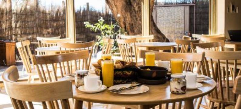 阿塔卡马哈德路酒店(Hard Road Atacama)图片