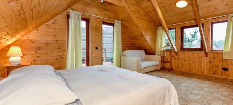 Aerodream Trakai图片