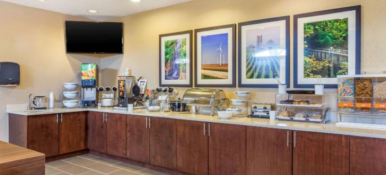 舒适酒店德卡尔布 - 大学区(Comfort Inn DeKalb - Adjacent the University)图片