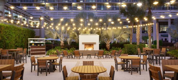 奥兰多世界中心万豪酒店(Orlando World Center Marriott)图片