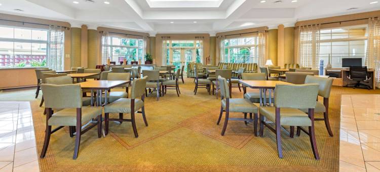 南佛罗里达大学拉昆塔温德姆套房酒店-近布希花园(La Quinta Inn & Suites by Wyndham USF (Near Busch Gardens))图片