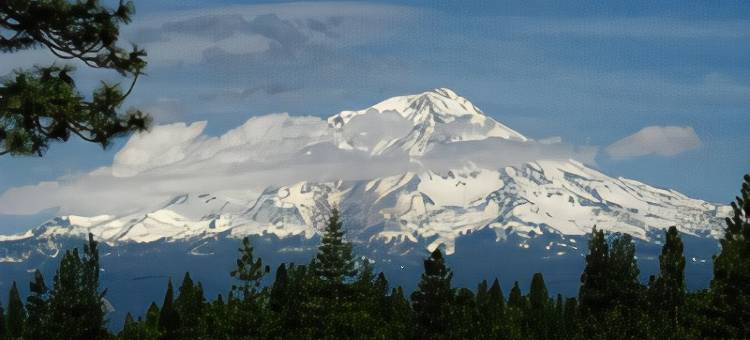 羚羊贝斯特韦斯特酒店(Best Western Antelope Inn  Suites)图片