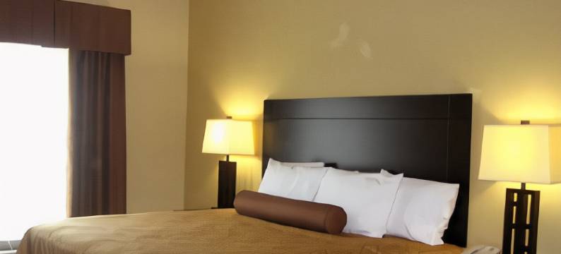 巴斯特罗普派恩斯贝斯特韦斯特酒店(Best Western Bastrop Pines Inn)图片