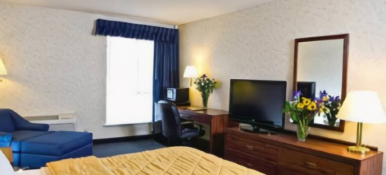 贝灵厄姆舒适酒店(Comfort Inn Bellingham)图片