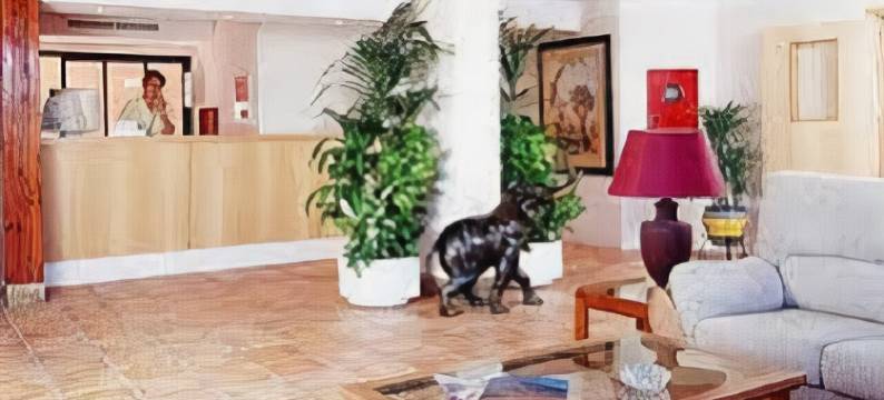 Delfin Bajamar图片