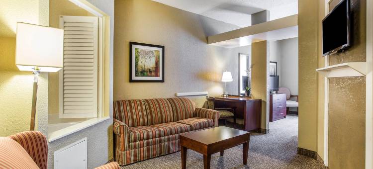 卡姆登舒适酒店及套房(Comfort Inn & Suites)图片