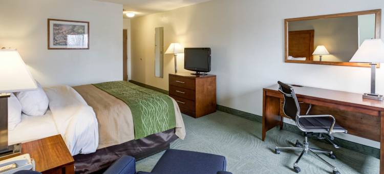 马斯卡廷舒适酒店(Comfort Inn Muscatine Near Hwy 61)图片