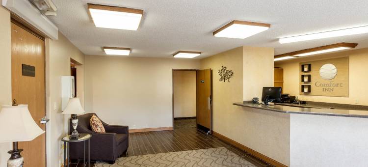 列克星敦舒适酒店(Comfort Inn)图片