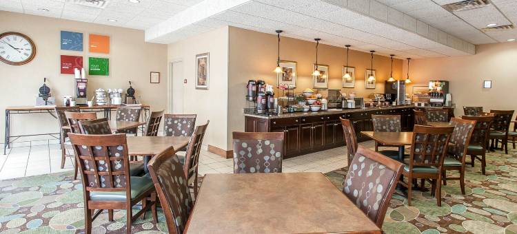 孟菲斯市中心舒适酒店(Comfort Inn Memphis Downtown)图片