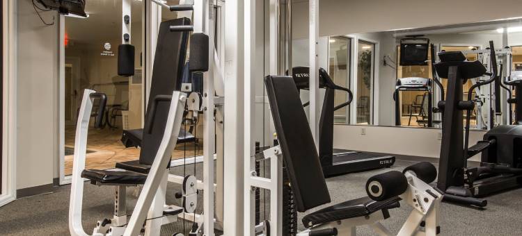 东格林奥尔巴尼舒适套房酒店(Comfort Inn & Suites East Greenbush - Albany)图片