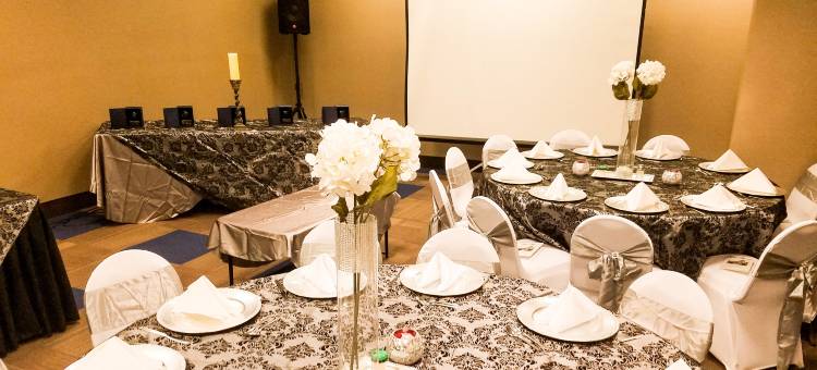 舒适酒店及套房-总统套房(Comfort Inn & Suites Presidential)图片