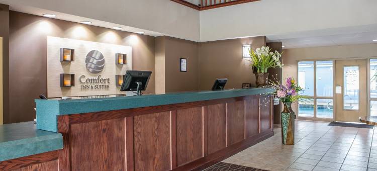 利斯萨米特舒适套房酒店-堪萨斯城(Comfort Inn & Suites Lees Summit - Kansas City)图片