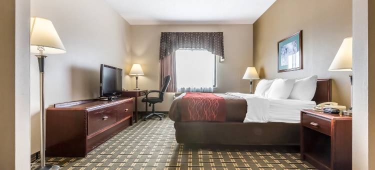 巴达维亚 - 达瑞恩主题乐园菲布丽套房旅店(FairBridge Inn & Suites Batavia-Darien Amusement Park)图片