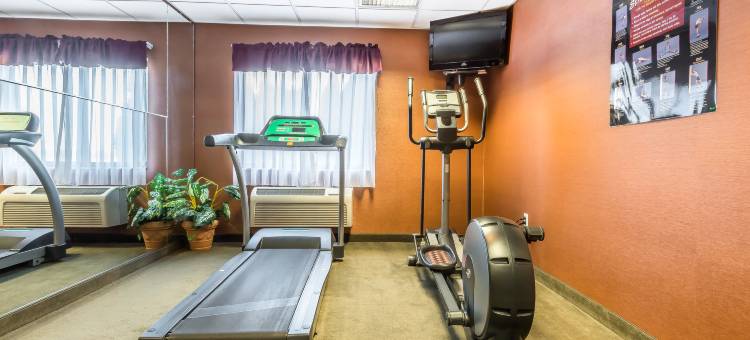 巴达维亚 - 达瑞恩主题乐园菲布丽套房旅店(FairBridge Inn & Suites Batavia-Darien Amusement Park)图片