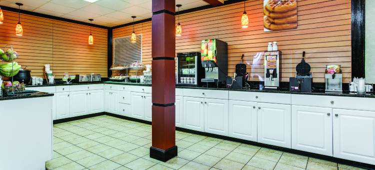 亚特兰大机场南拉昆塔温德姆套房酒店(La Quinta Inn & Suites by Wyndham Atlanta Airport South)图片