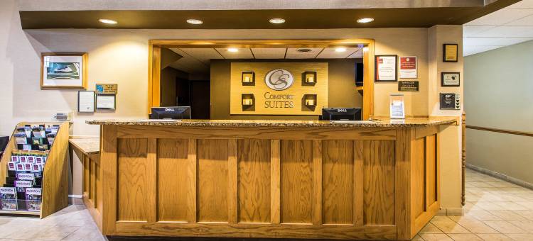 威斯康辛德尔斯区舒适套房酒店(Comfort Suites Wisconsin Dells Area)图片