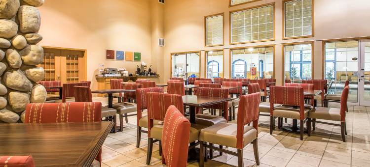 威斯康辛德尔斯区舒适套房酒店(Comfort Suites Wisconsin Dells Area)图片