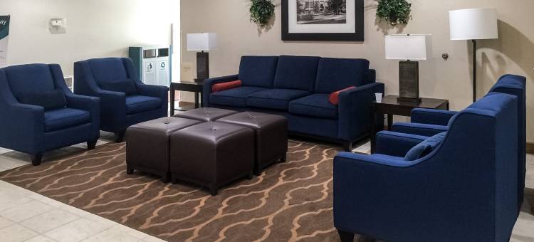 约翰逊城舒适套房酒店-近大学城(Comfort Suites Johnson City Near University)图片