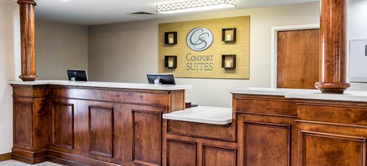 约翰逊城舒适套房酒店-近大学城(Comfort Suites Johnson City Near University)图片