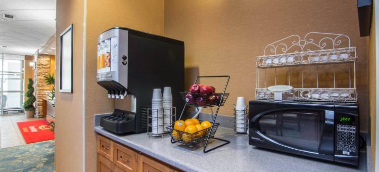 伊克诺旅馆套房- 大学(Econo Lodge Inn & Suites University)图片