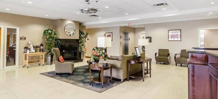 舒适酒店(Comfort Inn)图片