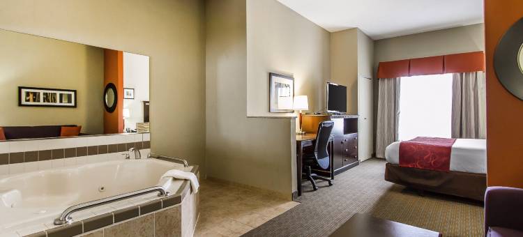 舒适套房酒店-乌尔班纳香槟大学城(Comfort Suites Urbana Champaign, University Area)图片