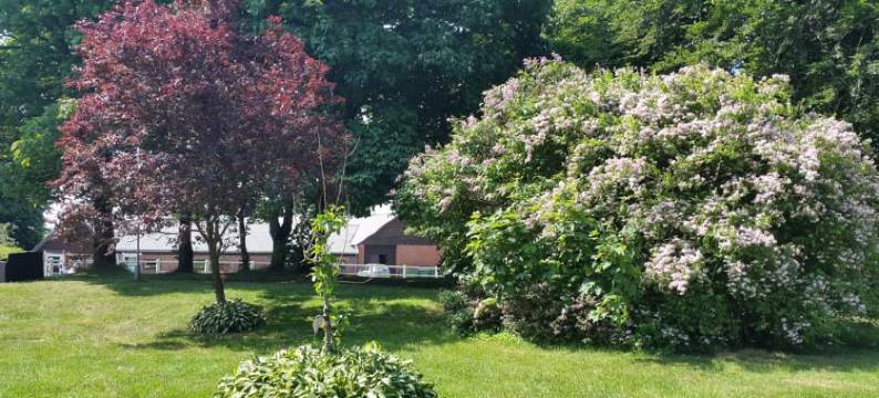 比隆农场假日(Billund Farm Holiday)图片