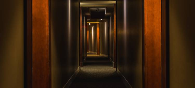太阳能度假村 - 钟星公寓式酒店及度假村(Solara Resort by Bellstar Hotels)图片