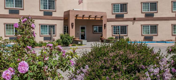 伊康套房旅馆(Econo Lodge Inn & Suites)图片