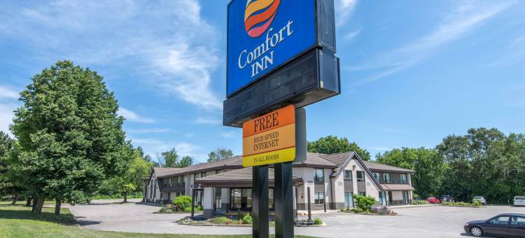 舒适酒店(Comfort Inn)图片