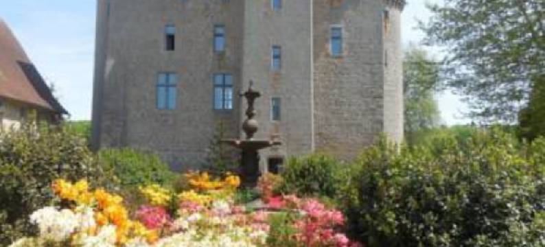 Homestay Château de Saint-Maixant图片