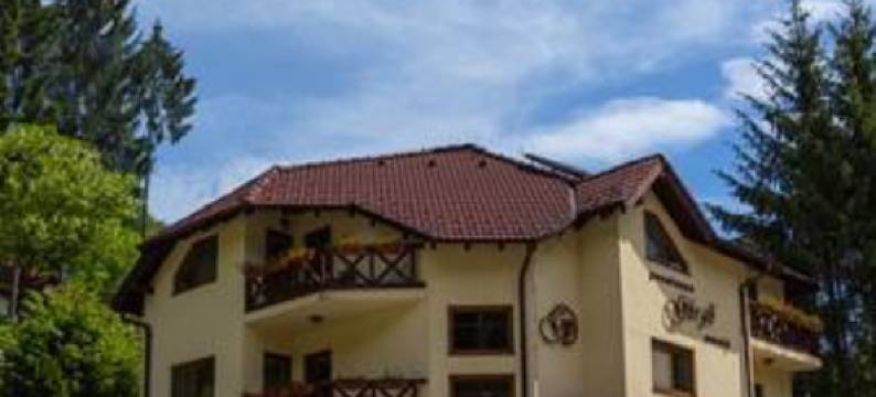 Pensiunea Görgő Panzió图片