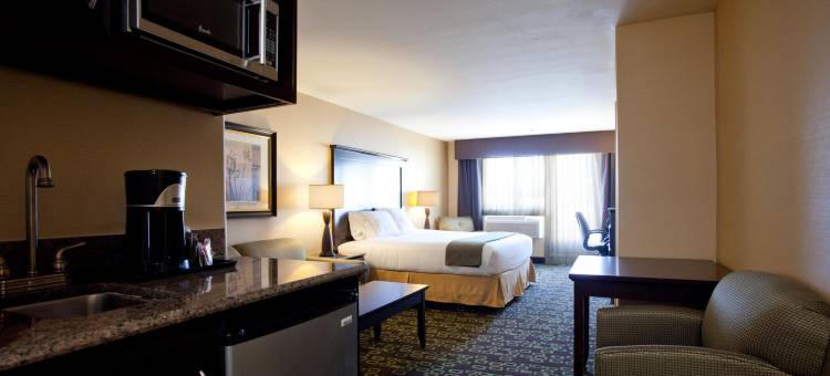 智选假日套房酒店伍德兰希尔斯(Holiday Inn Express & Suites Woodland Hills)图片