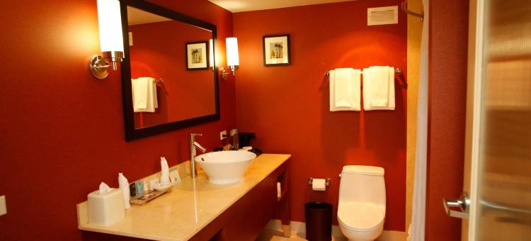 帕罗奥图皇冠假日酒店(Crowne Plaza PALO ALTO by IHG)图片