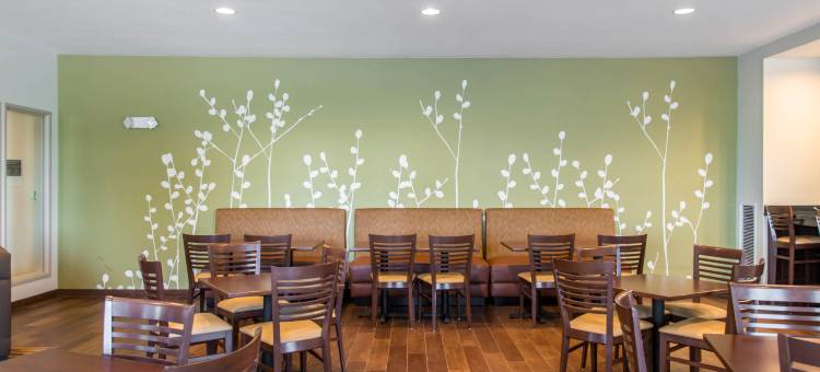 舒眠旅馆及套房马歇尔 - 大学区(Sleep Inn & Suites Marshall - University Area)图片