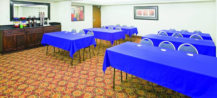 达拉斯I-35胡桃山道拉昆塔温德姆套房酒店(La Quinta Inn & Suites by Wyndham Dallas I-35 Walnut Hill Ln)图片