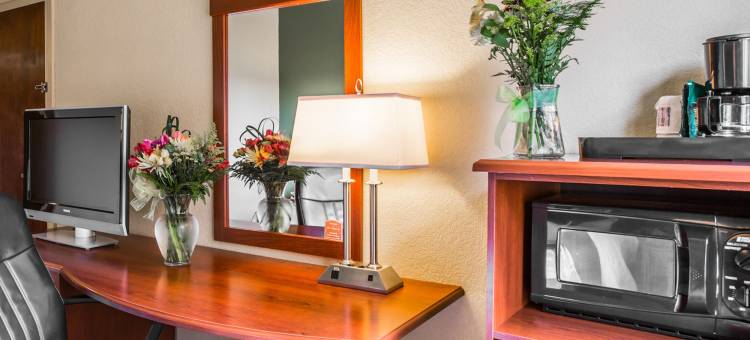 近棕榈州立公园的冈萨雷斯舒眠酒店及套房(Sleep Inn & Suites Near Palmetto State Park)图片