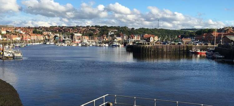 海豚酒店(The Dolphin Hotel)图片