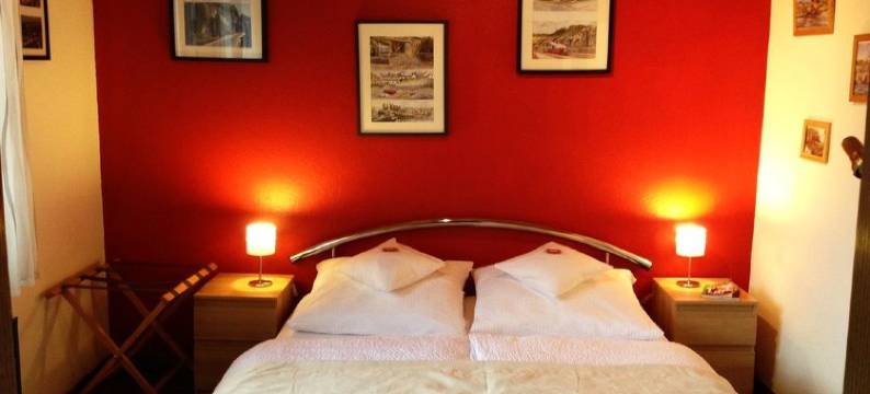 亨布拉斯酒店(Henblas Hotel)图片