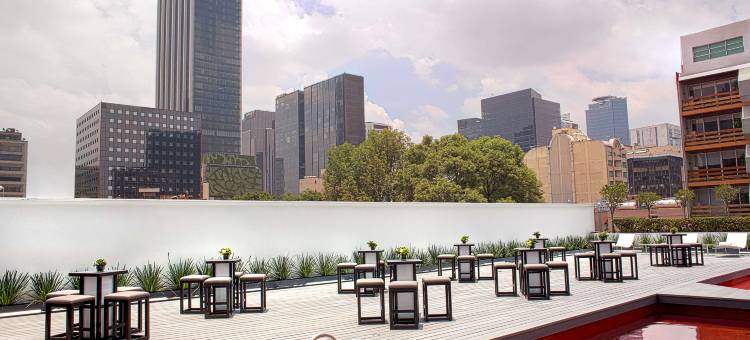 NH典藏墨西哥城公寓(NH Collection Mexico City)图片