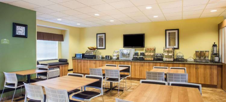 欧佩莱卡麦客达套房酒店(Microtel Inn & Suites by Wyndham Opelika)图片