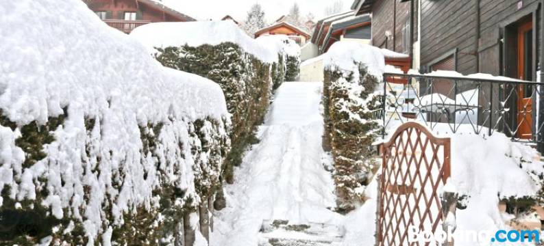 Au Centre d'Ovronnaz - Chalet Mitoyen图片