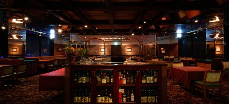 鹿儿岛华盛顿广场酒店(Kagoshima Washington Hotel Plaza)图片