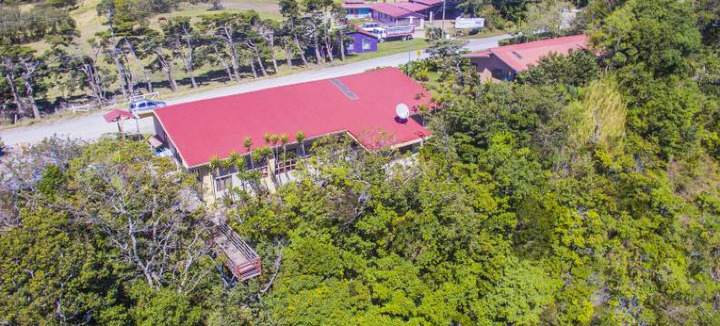 拉索尔基德亚斯酒店(Hotel Las Orquideas)图片