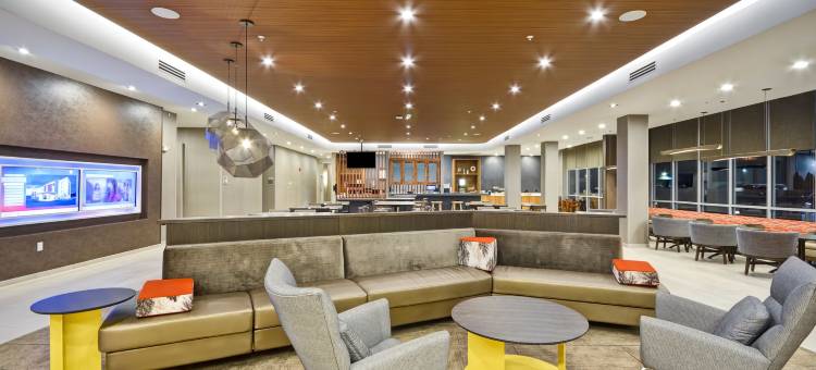 辛辛那提布鲁艾施SpringHill Suites酒店(SpringHill Suites Cincinnati Blue Ash)图片