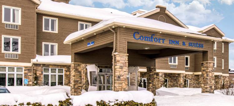 圣杰罗姆舒适酒店(Comfort Inn & Suites)图片