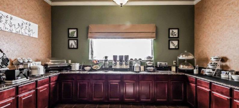 舒眠酒店及套房香柏(Sleep Inn & Suites)图片