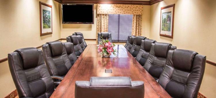 清泉智选假日套房酒店(Holiday Inn Express & Suites Clear Spring)图片