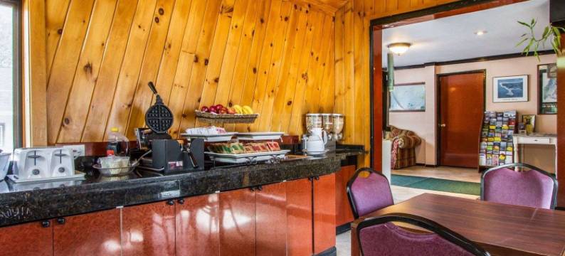 布朗瑞克1号公路附近罗德威套房酒店(Rodeway Inn & Suites Brunswick Near Hwy 1)图片