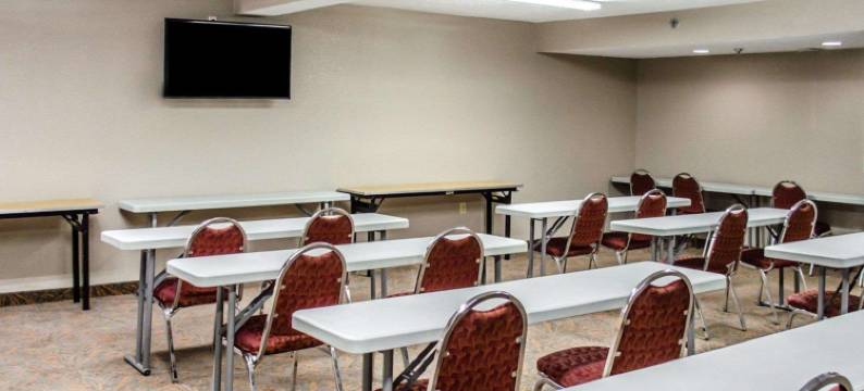 麦地那阿克伦西凯艺套房酒店(Quality Inn & Suites Medina - Akron West)图片